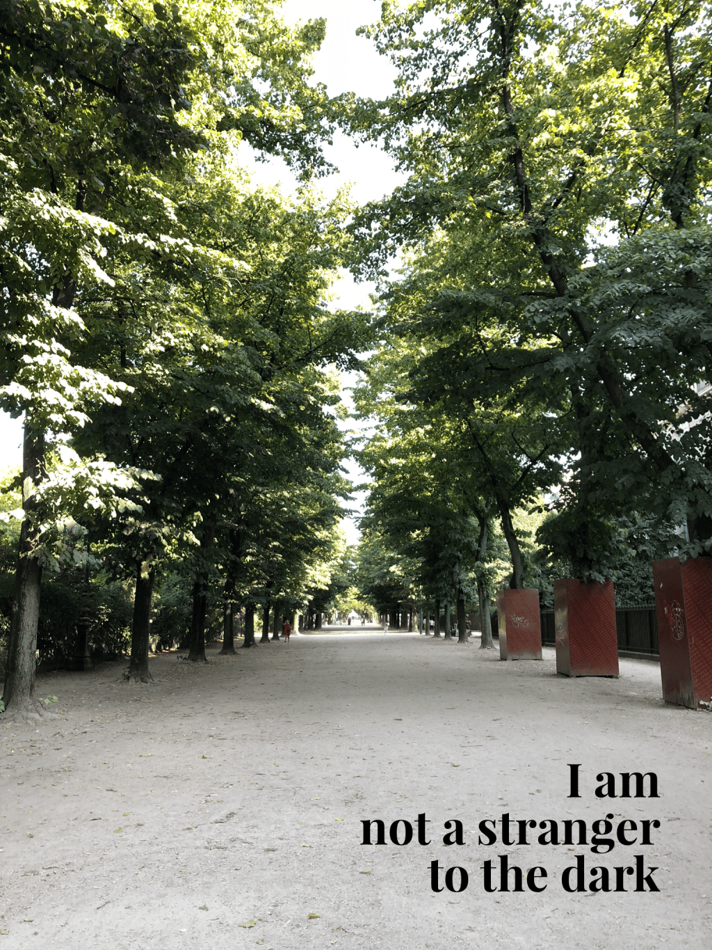I am not a stranger to the&nbsp;dark